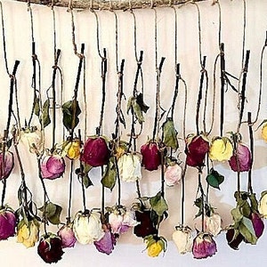 Dried Roses Wall Decor - Etsy UK