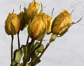 Small Yellow Dried Rose Stems