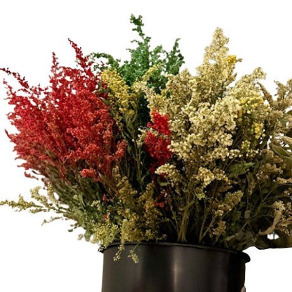 Goldenrod, Dried Flowers for Bouquet, Vase, Crafts