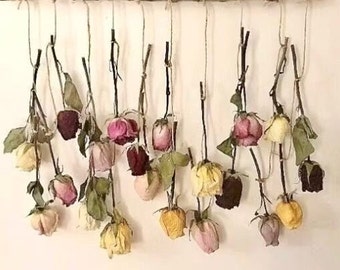 Rose Wall Decor, Hanging Dried Flowers