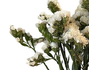 White Statice Dried Flowers for Bouquet, Crafts, Vase