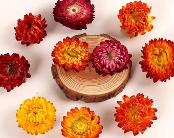 Strawflower Dried Flower Heads