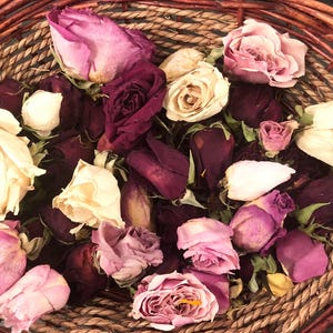 Dried Rose Flower Heads for Floral Crafts and Dried Flower Home Accents