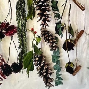 May include: A collection of dried botanicals and herbs hanging from twine, including pine cones, eucalyptus, rosemary, and dried roses.