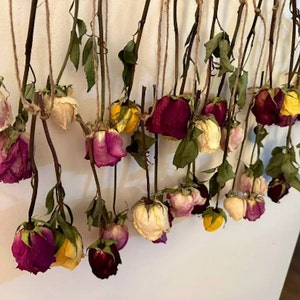 Dried Roses Wall Decor - Etsy UK
