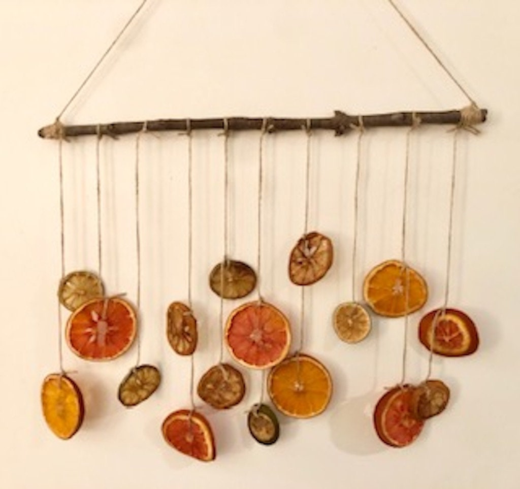 Citrus Wall Decor Wall Hanging Dried Fruit Etsy