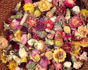 Assorted Dried Flower Heads for Floral Craft Supplies and Home Accents