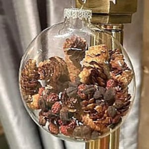 Getrocknete Kiefernzapfen Glasverzierung, rustikale Mini-Kiefernzapfen und trockene Beeren in einem scheibenförmigen Ornament