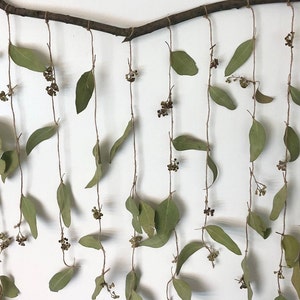 Dried Eucalyptus Wall Hanging, Dry Eucalyptus Leaves Hanging from a Rustic Wooden Branch