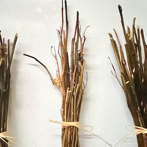 Dried Rose Stem Sticks for Craft Supplies and Vase Decor