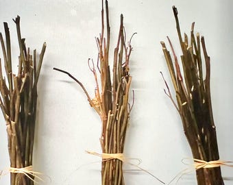 Dried Rose Stem Sticks for Craft Supplies and Vase Decor