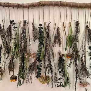 Hanging Herbs and Flowers, Dried Flowers and Herbs Hanging from a Rustic Wood Branch