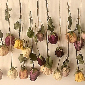 Dried Roses Wall Decor - Etsy UK