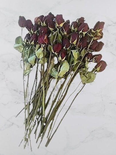 10 Stems Dried Roses Flower With Stemsnatural Roses Flowers ,flowers  Arrangement ,vase Filler ,home Decoration ,wedding Roses Decor 