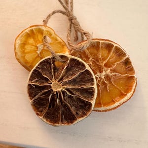 Dried Citrus Fruit Ring, Dry Fruit Slices on Jute Twine Burlap String, Orange, Lemon, Lime