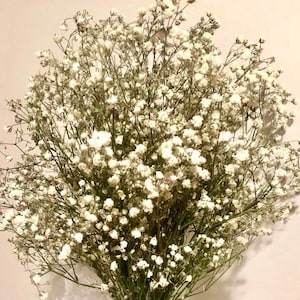 Boeket met gedroogde bloemen voor baby's