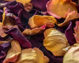 Assorted Dried Rose Petals