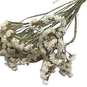White Dried Statice Flowers, Floral Stems for Vase Decor, Crafts, and Home Accents