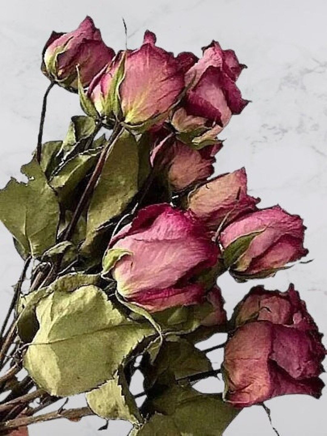 Pink Roses, Dried Flowers for Bouquet, Crafts, Vase - Etsy