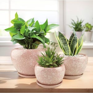 Round Pink Ceramic Planters, Flower Pots with Saucers, Set of 3, Sizes 4.1&quot;, 5.3&quot;, 6.9&quot;
