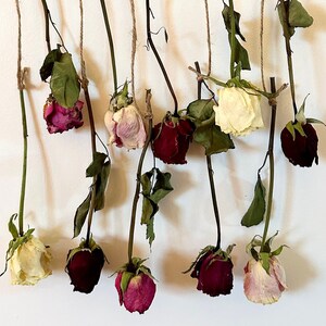 Dried Roses Wall Decor - Etsy UK