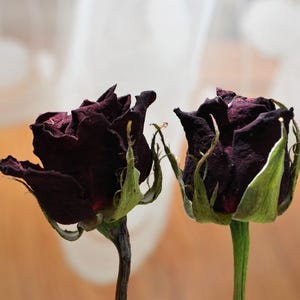 Red Rose Flower Stems, Dried Flowers for Bouquets, Vase Decor, Gifts, and Craft Supplies