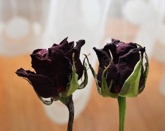 Red Rose Flower Stems, Dried Flowers for Bouquets, Vase Decor, Gifts, and Craft Supplies