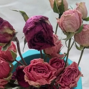 Mini Pink Dried Roses, Dry Flowers for Gifts, Craft Supplies, and Vase Decor