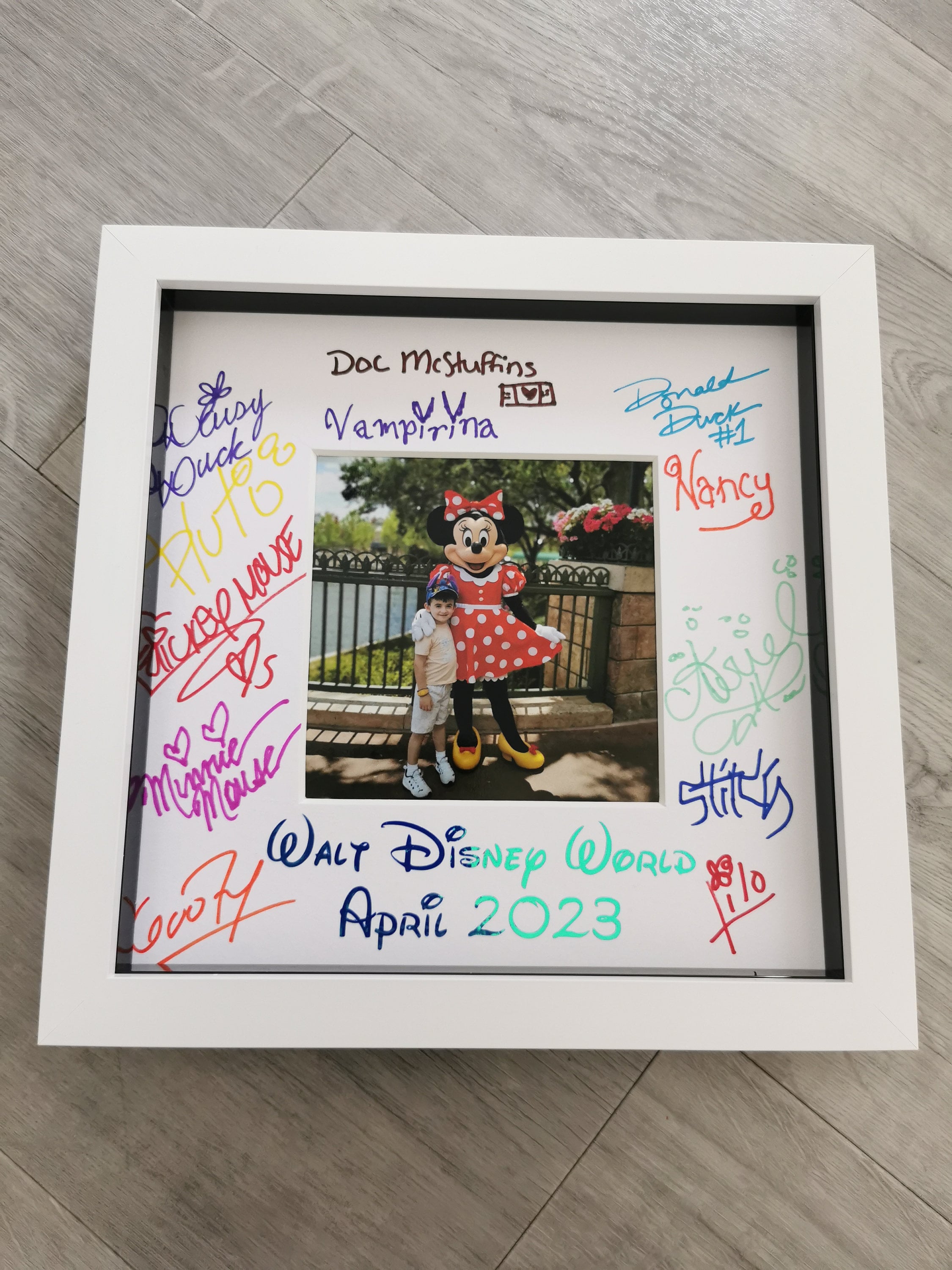 Photo Mat, Photo Mount, Disney Autograph Photo Frame, Autograph