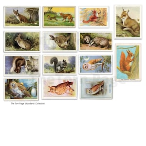 Vintage bosthemacollectie 1, digitale theekaarten, indexkaarten, bosdieren, vogels, vlinders, bloemen, benodigdheden voor junkjournals