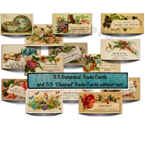 Hermosas tarjetas vintage con temática botánica, efímeras vintage, descargables e imprimibles para revistas basura, uso comercial.