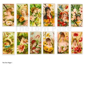 The Language of Flowers, Printable Vintage Faux Tea Cards, Commercial Use, Instant Digital Download