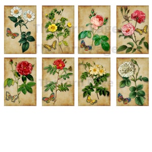 Vintage Junk Journal Karten, 14 Blatt Vintage Botanicals, ATC druckbare, digitaler Download, Collage Sheet, Rosen, Junk Journal Ephemera