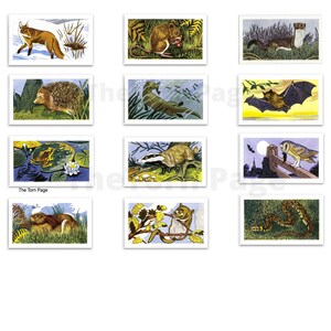 Kolekcja Vintage Woodland 2, 24 karty do herbaty, efemerydy, etykiety i definicje, zastosowanie komercyjne, artykuły do dziennika śmieci, natychmiastowe pobieranie