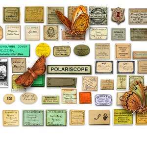 The Expert Botanist Kit, vintage, afdrukbare labels, junk Journal-benodigdheden, 8,5 x 11 en A4-formaten, commerciële licentie, direct downloaden