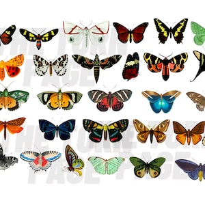 Vintage Transparent Butterfly and Moth Illustrations, Transparent PNGs, Overlays for Collage and Printing Projects, Instant Download