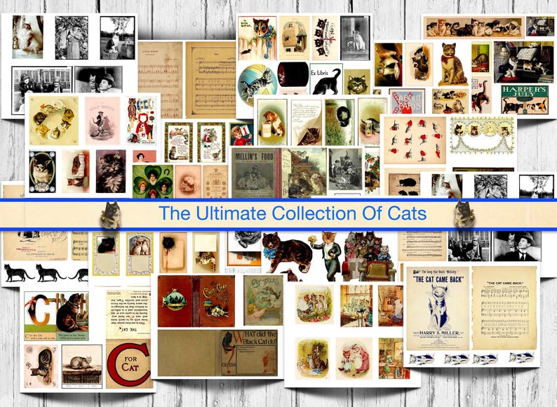 The Ultimate Vintage Cat Ephemera Collection: 50 Printable Pages for ...