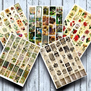 Vintageblomsklipp: Sepia och färgåtergivning (digital nedladdning)