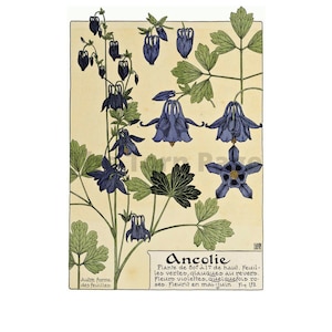 Paquets de papier numérique, fleurs Verneuil Art nouveau Français, taille 8,5 x 11, téléchargement numérique instantané, journal indésirable et fournitures de scrapbooking