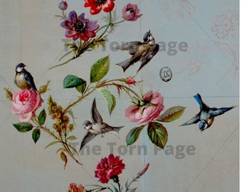 Vintage French Wallpaper Designs: Floral Bird Digital Collage (Digital Download)
