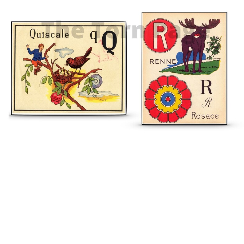 Vintage Alphabet Flashcards Digital Mixed up Alphabets Etsy UK