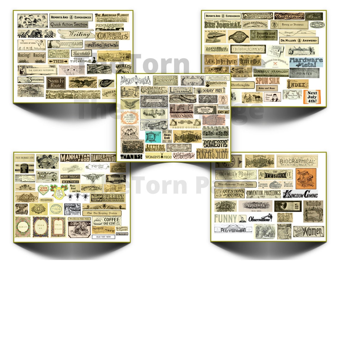 Vintage Script Labels Pack 1 Eclectic Mix of Digital - Etsy