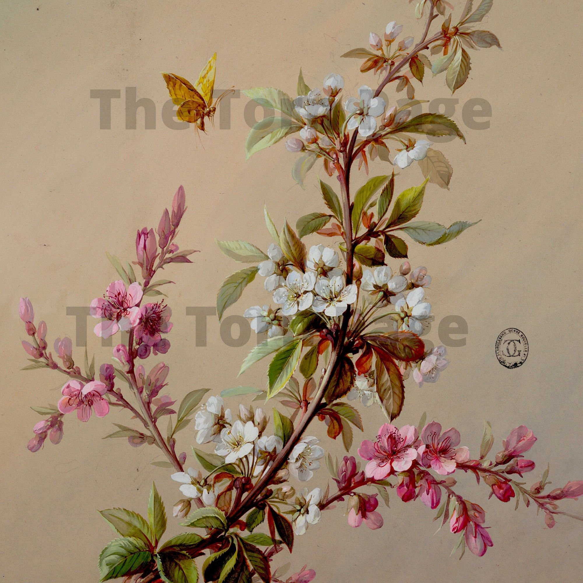 Vintage French Wallpaper Designs Digital Collage Papers Etsy Australia