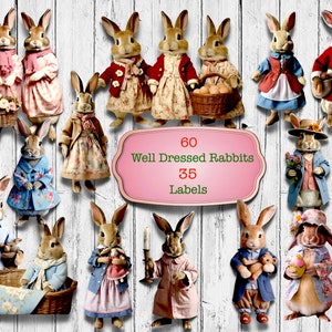 Imágenes prediseñadas, conejos bien vestidos con cortes elegantes, 80 conejos vestidos para casi cualquier ocasión, perfectos para proyectos de arte o manualidades, descarga instantánea