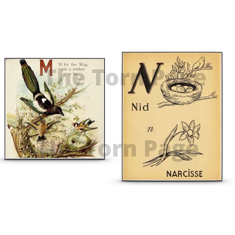 Vintage Alphabet Flashcards Digital Mixed up Alphabets Etsy UK