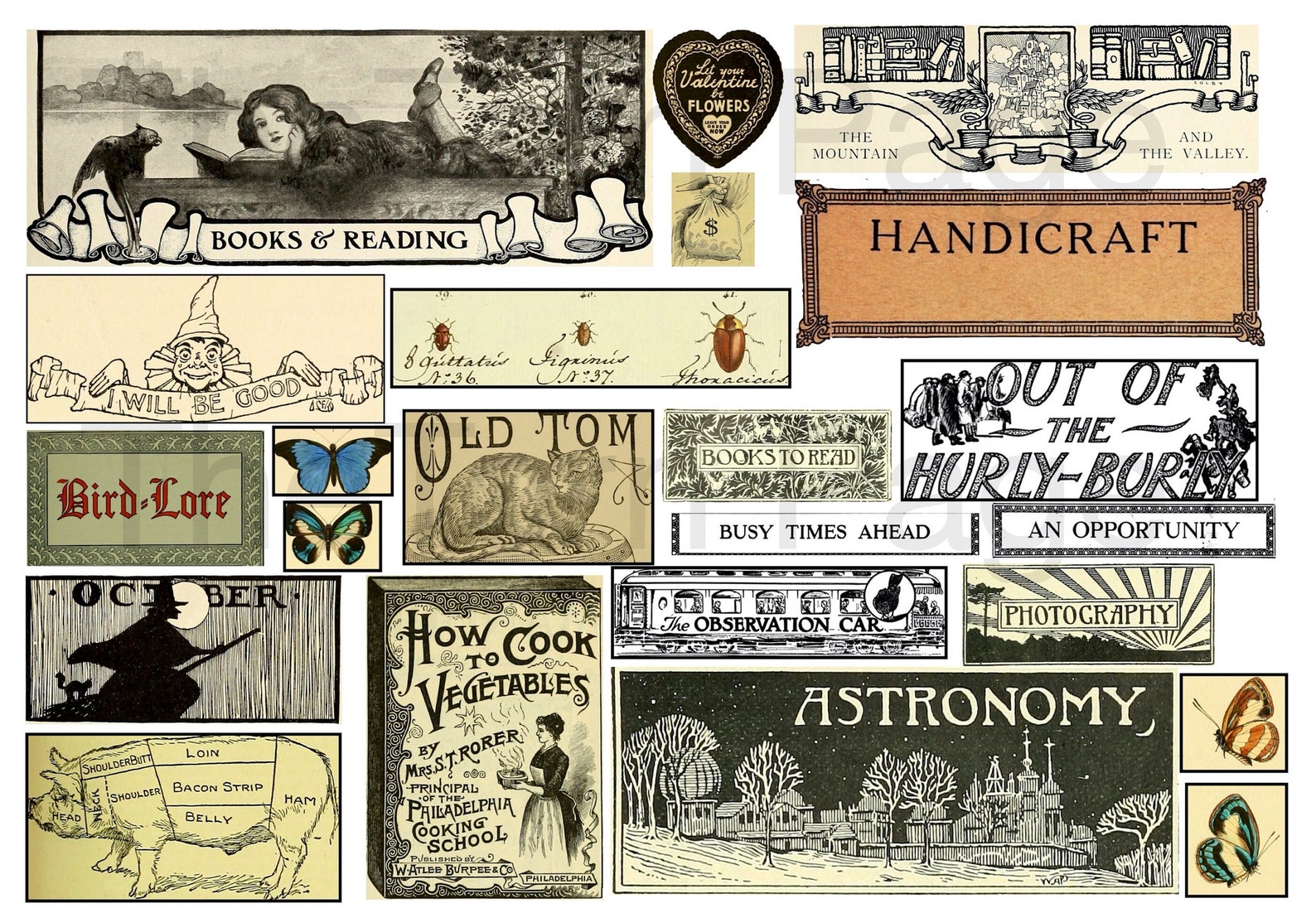 Vintage Script Labels Pack3 Eclectic Mix of Digital - Etsy