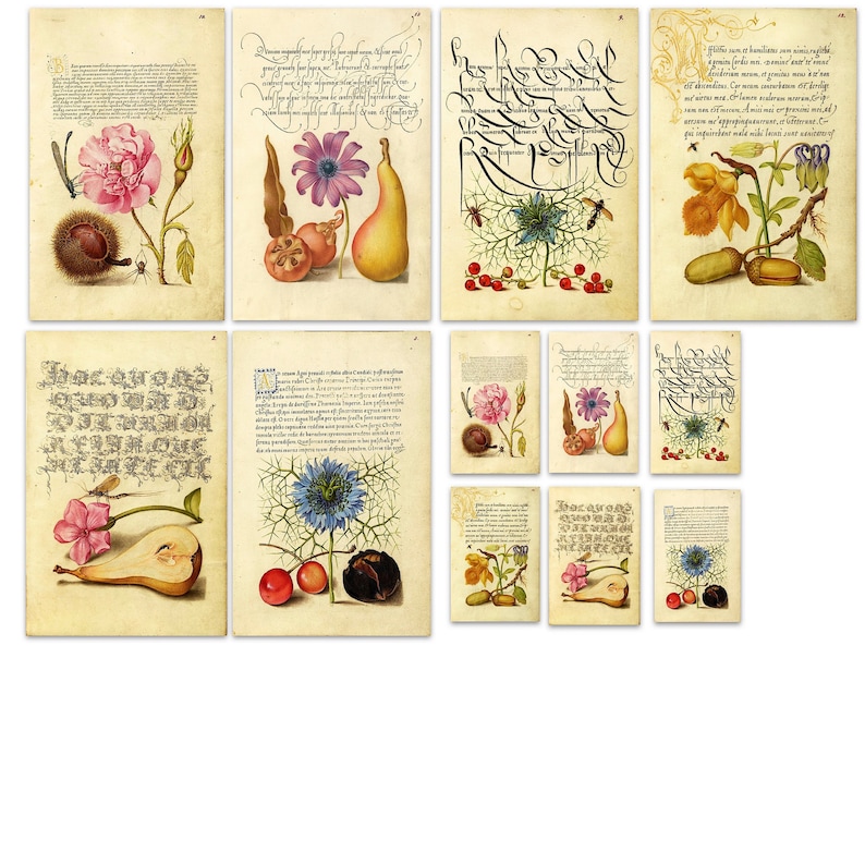 Vintage Botanist Kit: Printable Ephemera, Labels, Prints (digital ...