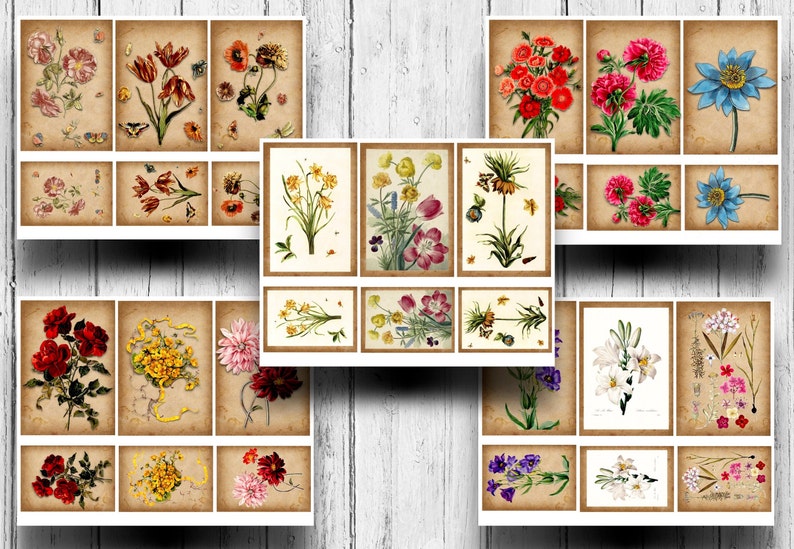 May include: A collection of vintage botanical illustrations featuring various flowers, including red tulips, yellow daffodils, pink peonies, blue anemones, and white lilies. The illustrations are set against a brown background with a distressed texture.