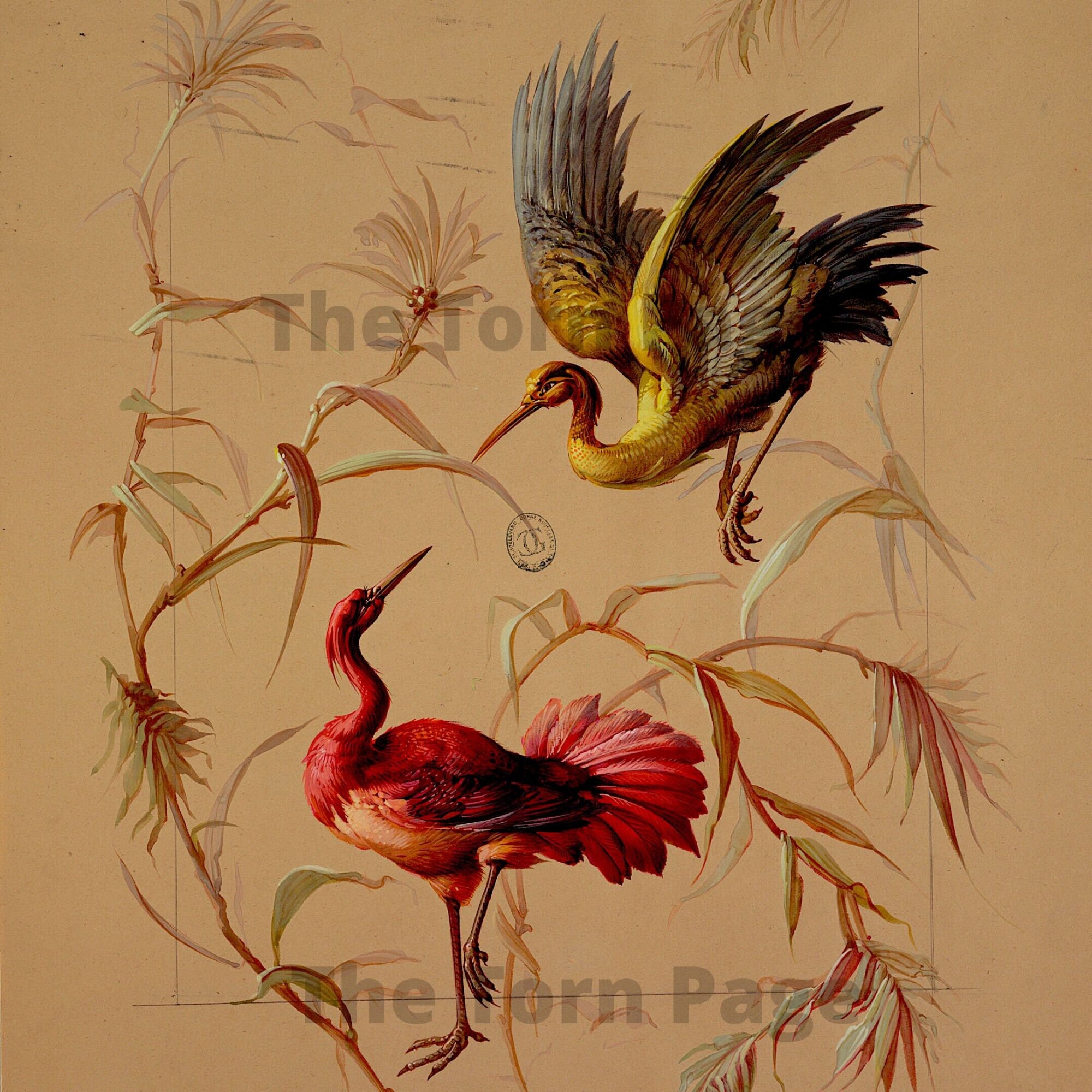 Vintage French Wallpaper Designs Digital Collage Papers Etsy Australia