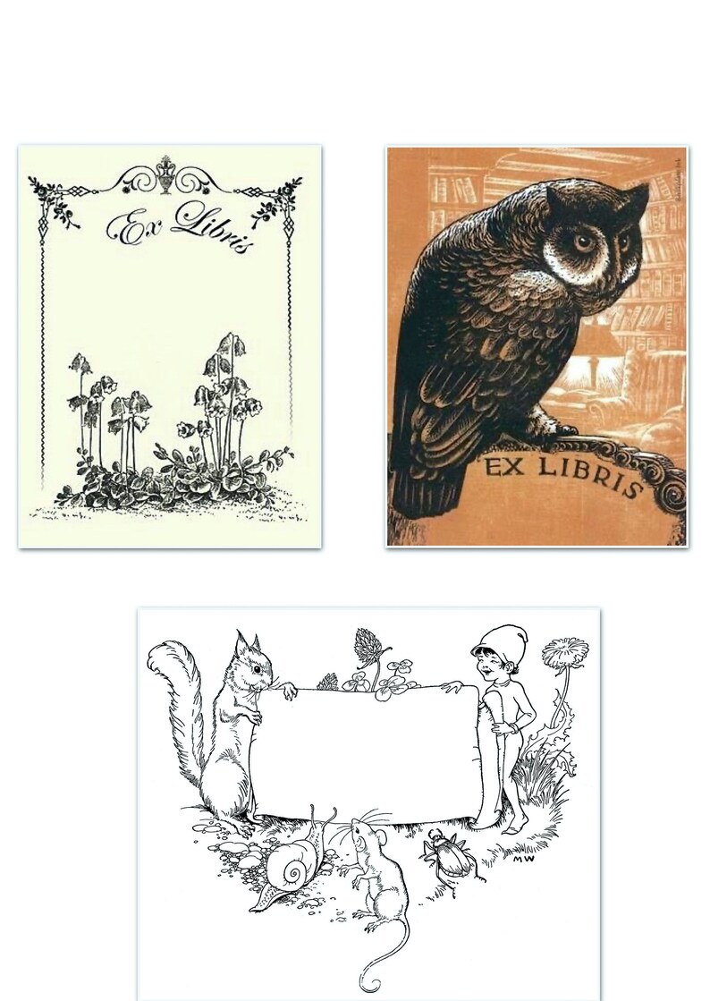 May include: Three different bookplate designs. The first is a black and white design with a floral border and the text "Ex Libris". The second is a black and white design of an owl perched on a book with the text "Ex Libris". The third is a black and white design of a squirrel, a snail, a mouse, and a beetle with a blank banner.